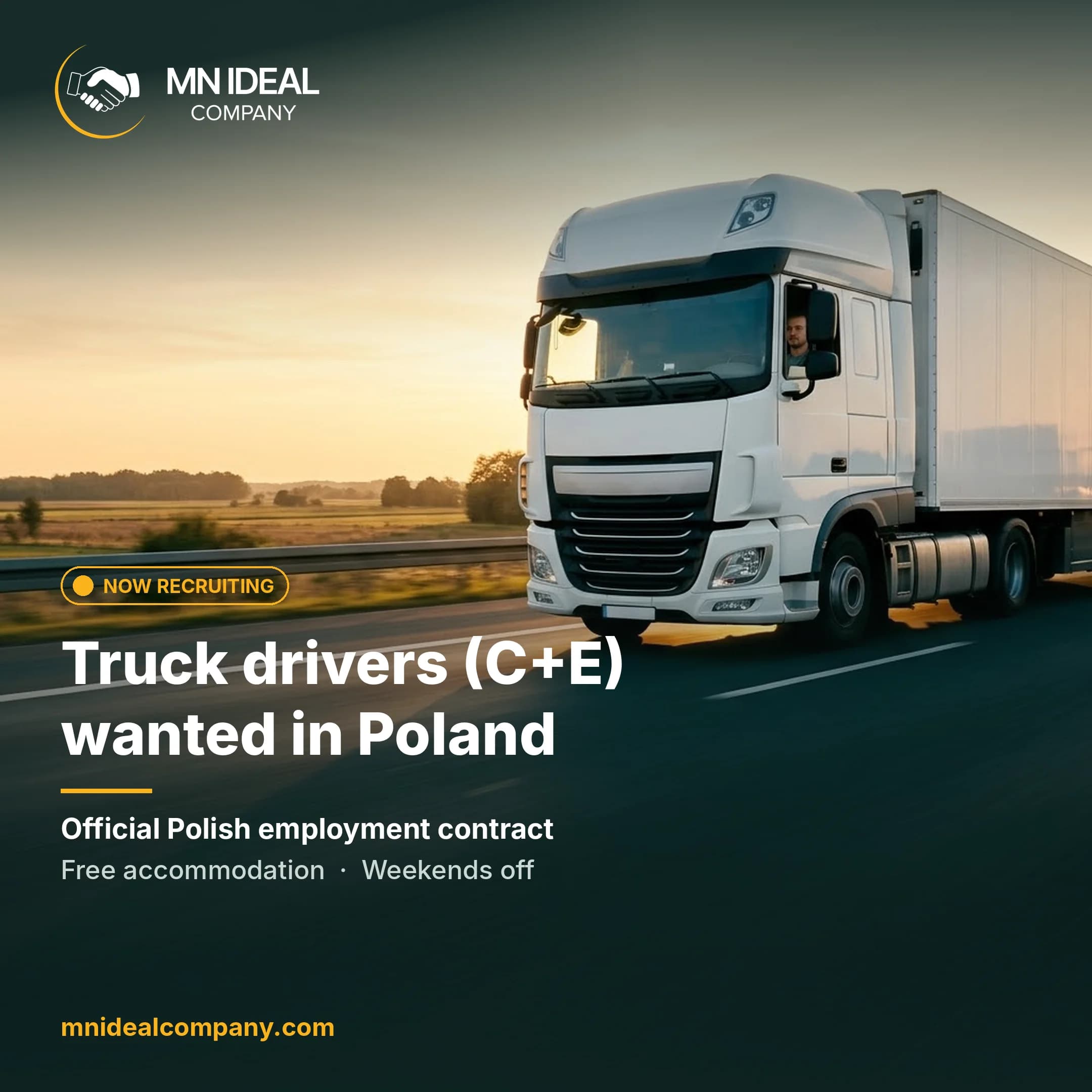 International Truck Driver (C+E) in Poland: Official Employment and Help With Code 95